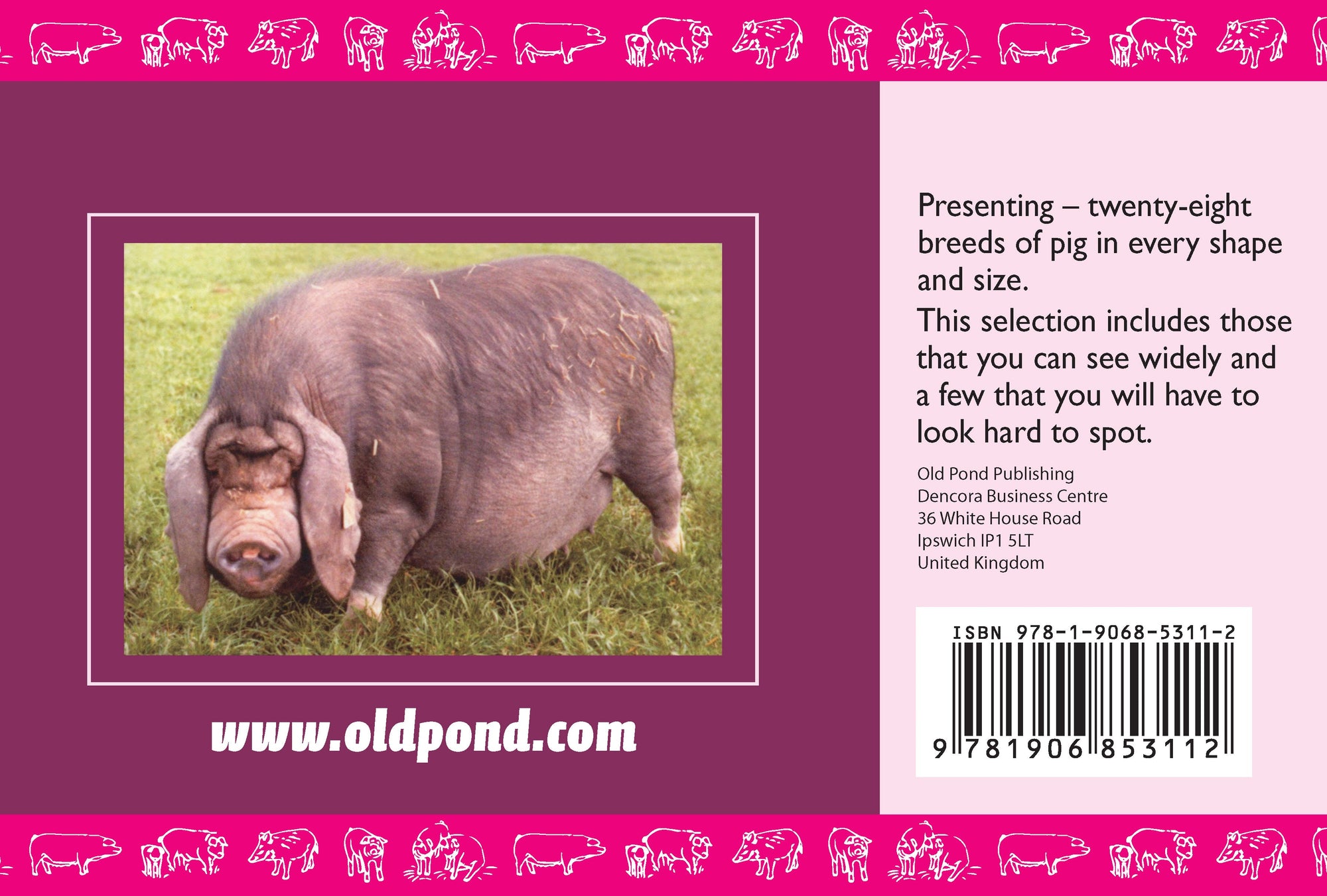 Know Your Pigs