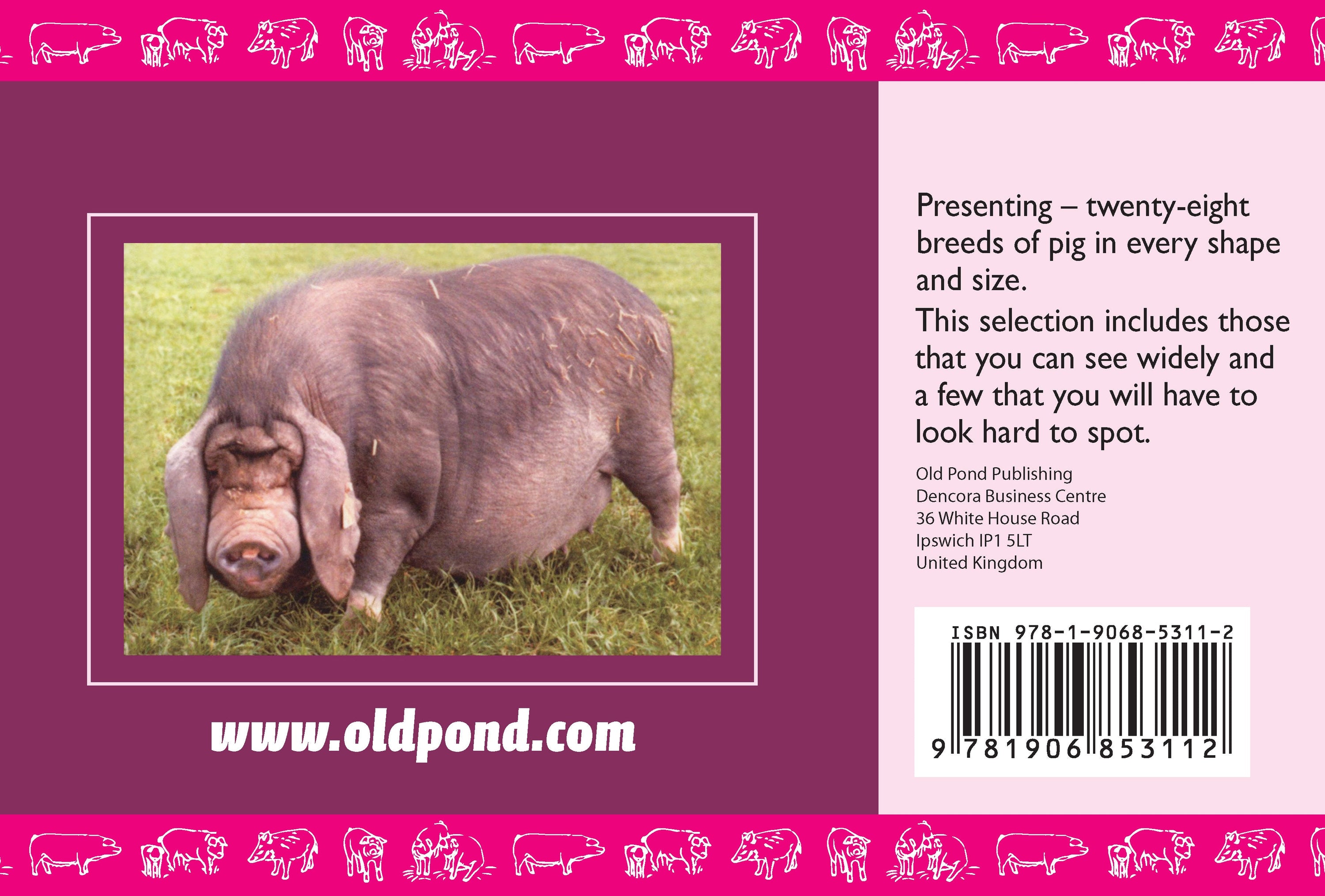 Know Your Pigs