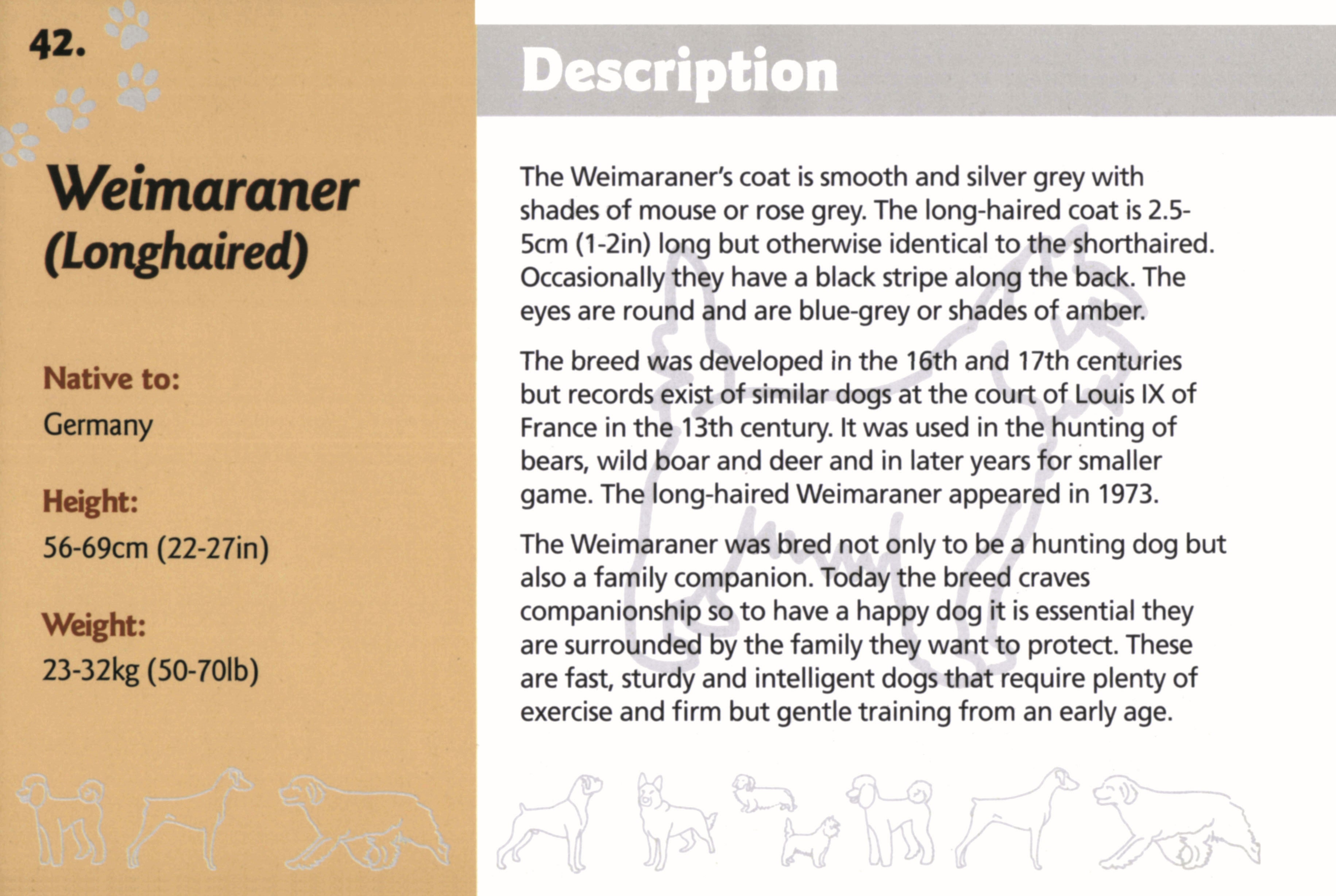 Know Your Dogs