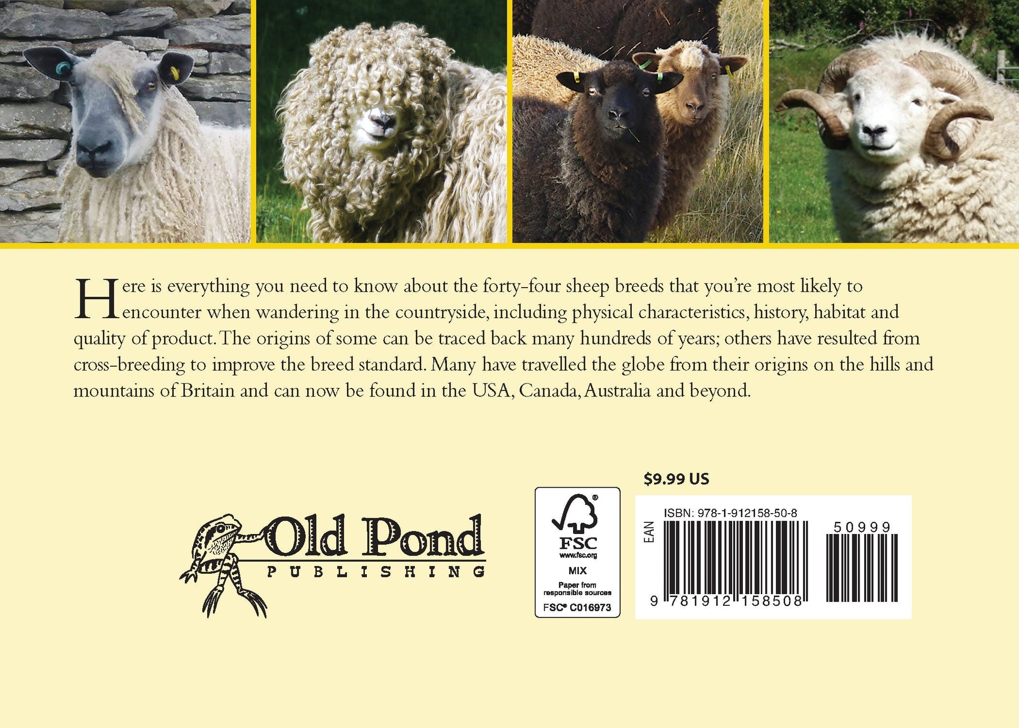Know Your Sheep