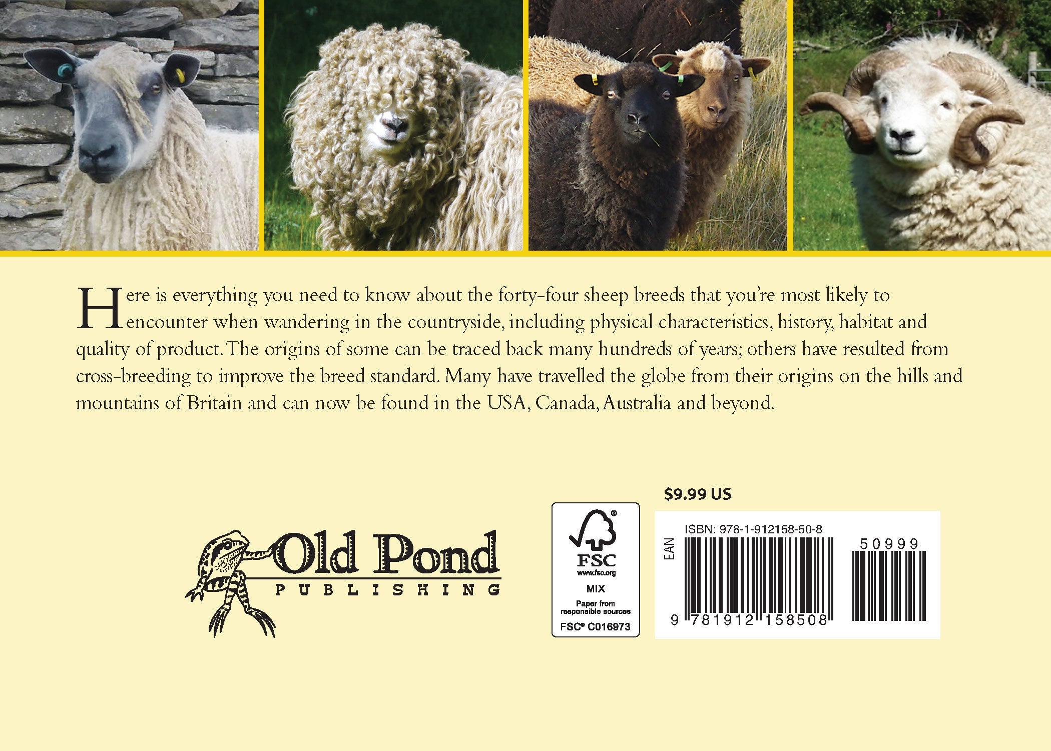 Know Your Sheep