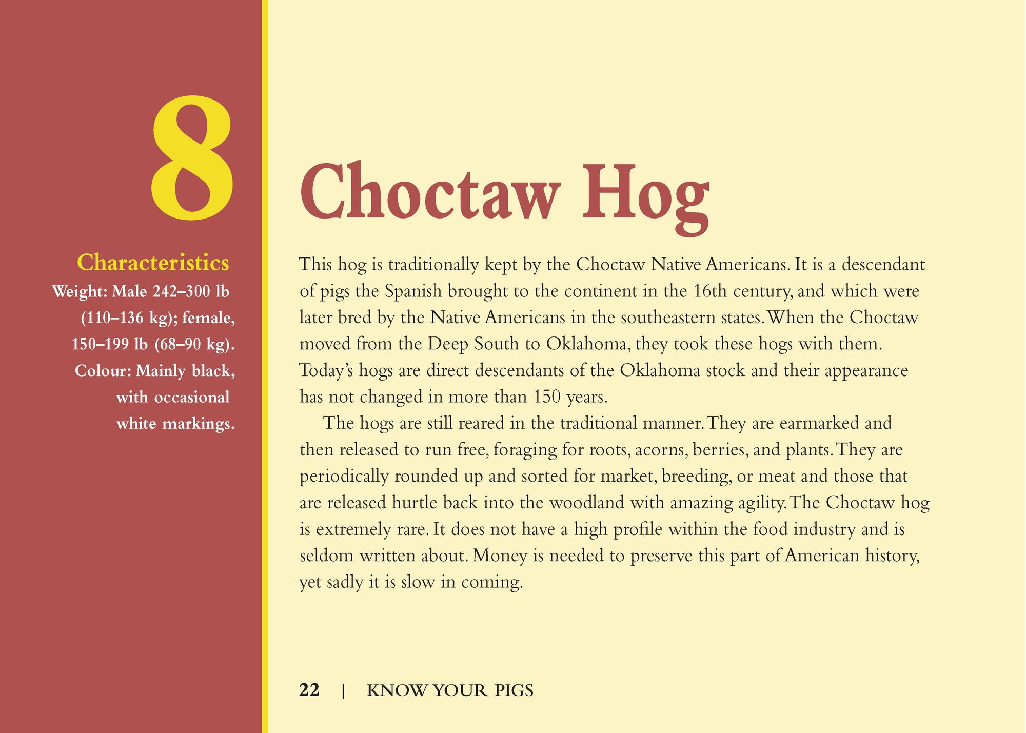 Know Your Pigs