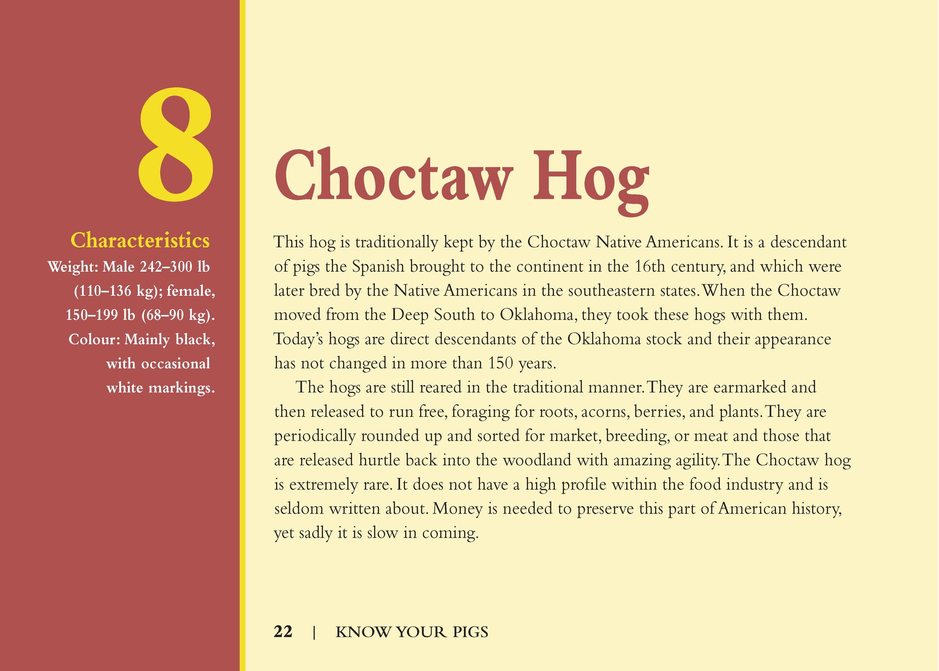 Know Your Pigs