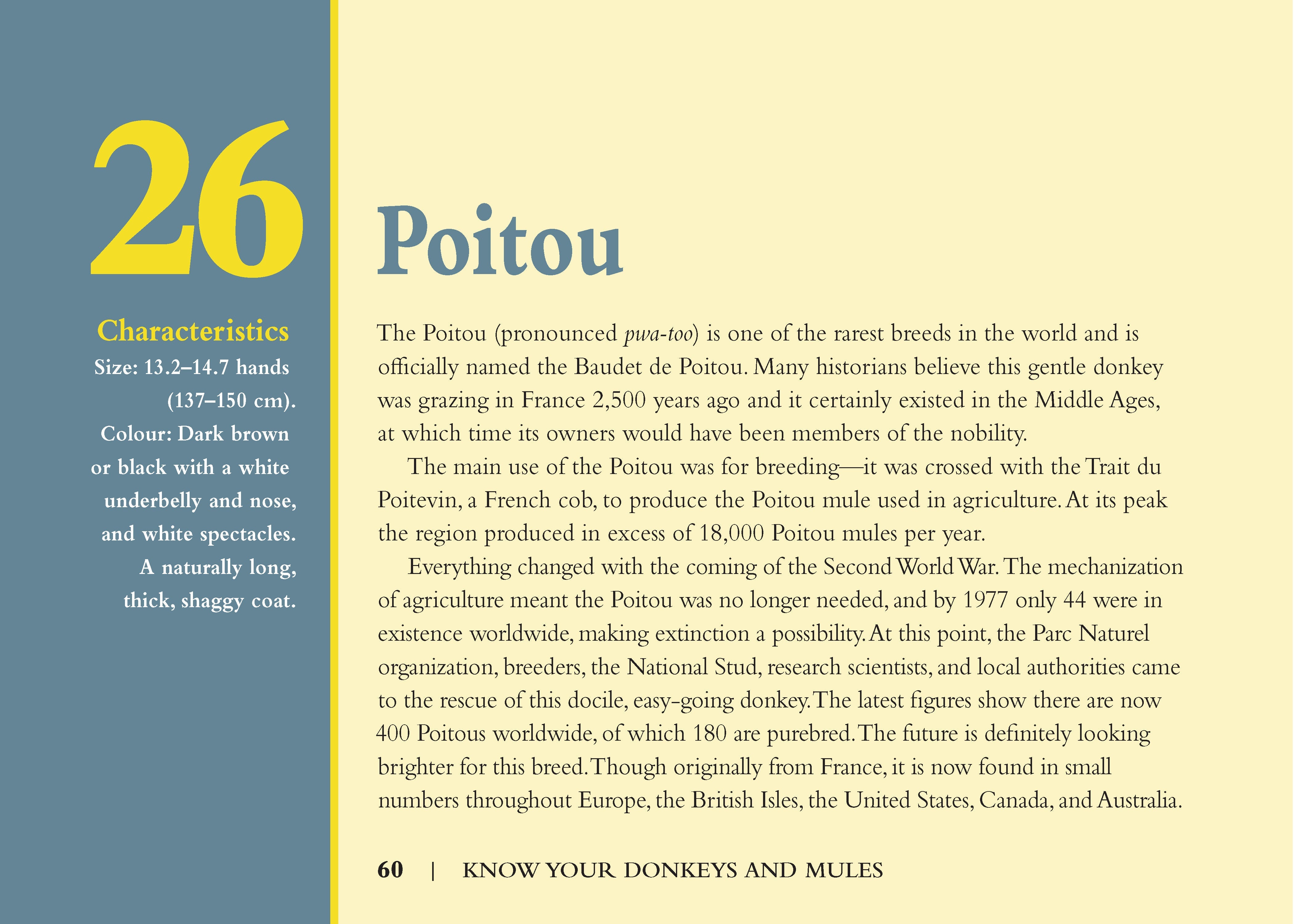 Know Your Donkeys & Mules