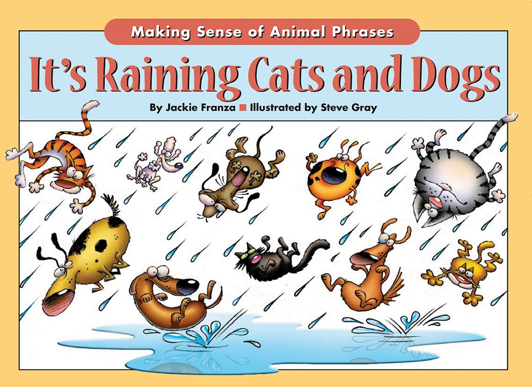 Its Raining Cats & Dogs
