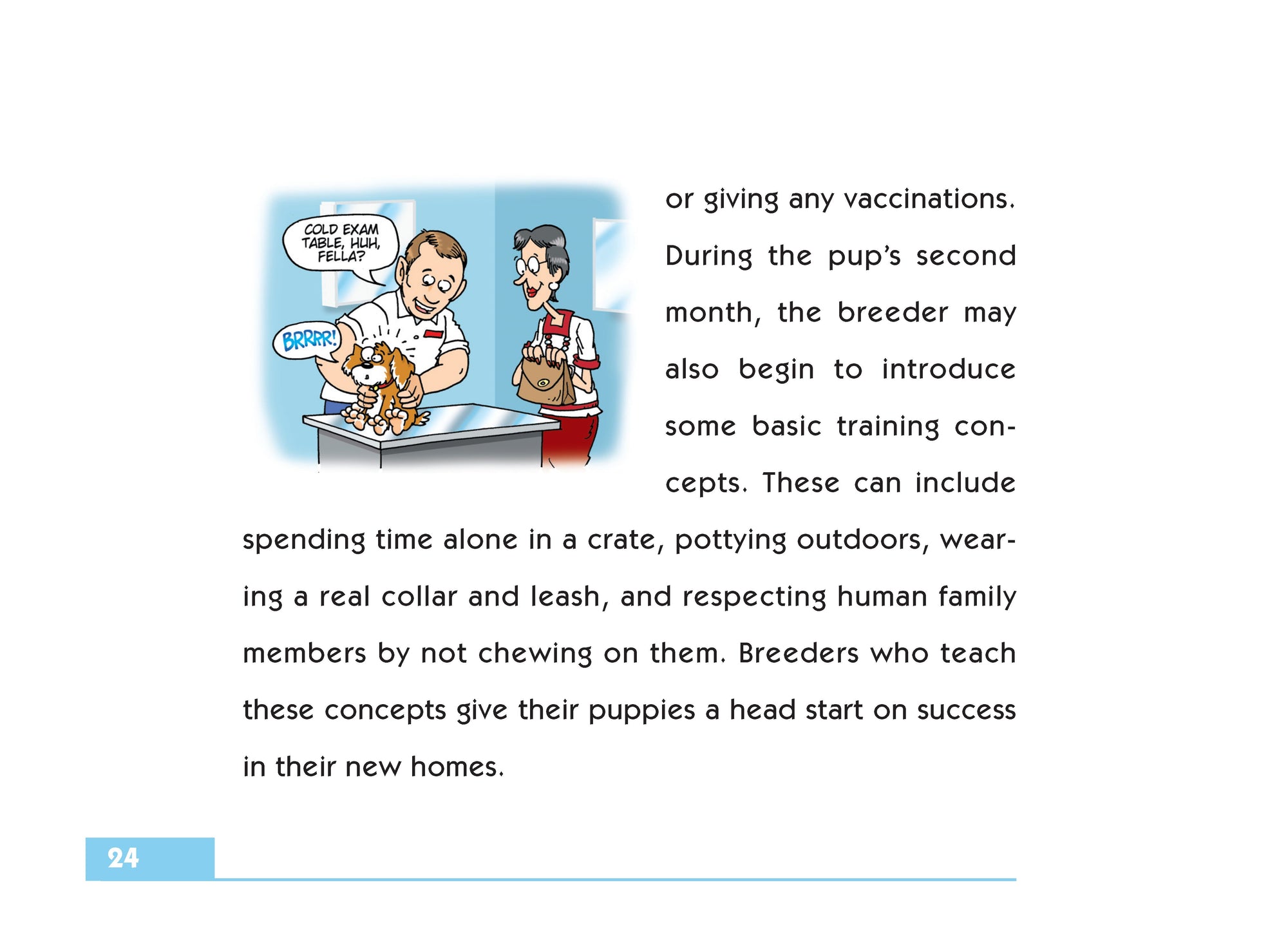 Socialization