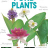Pond Plants