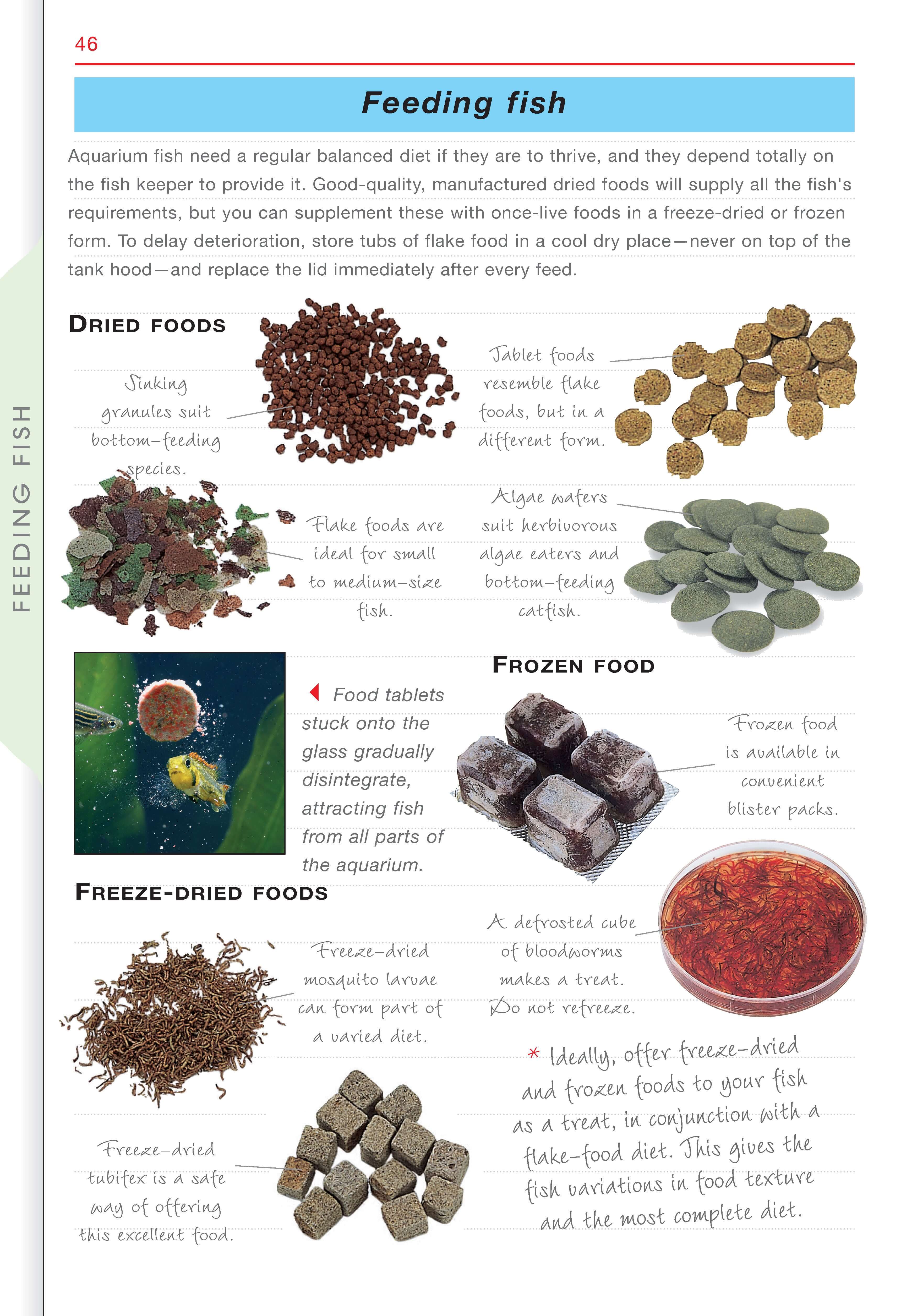 Freshwater Aquariums