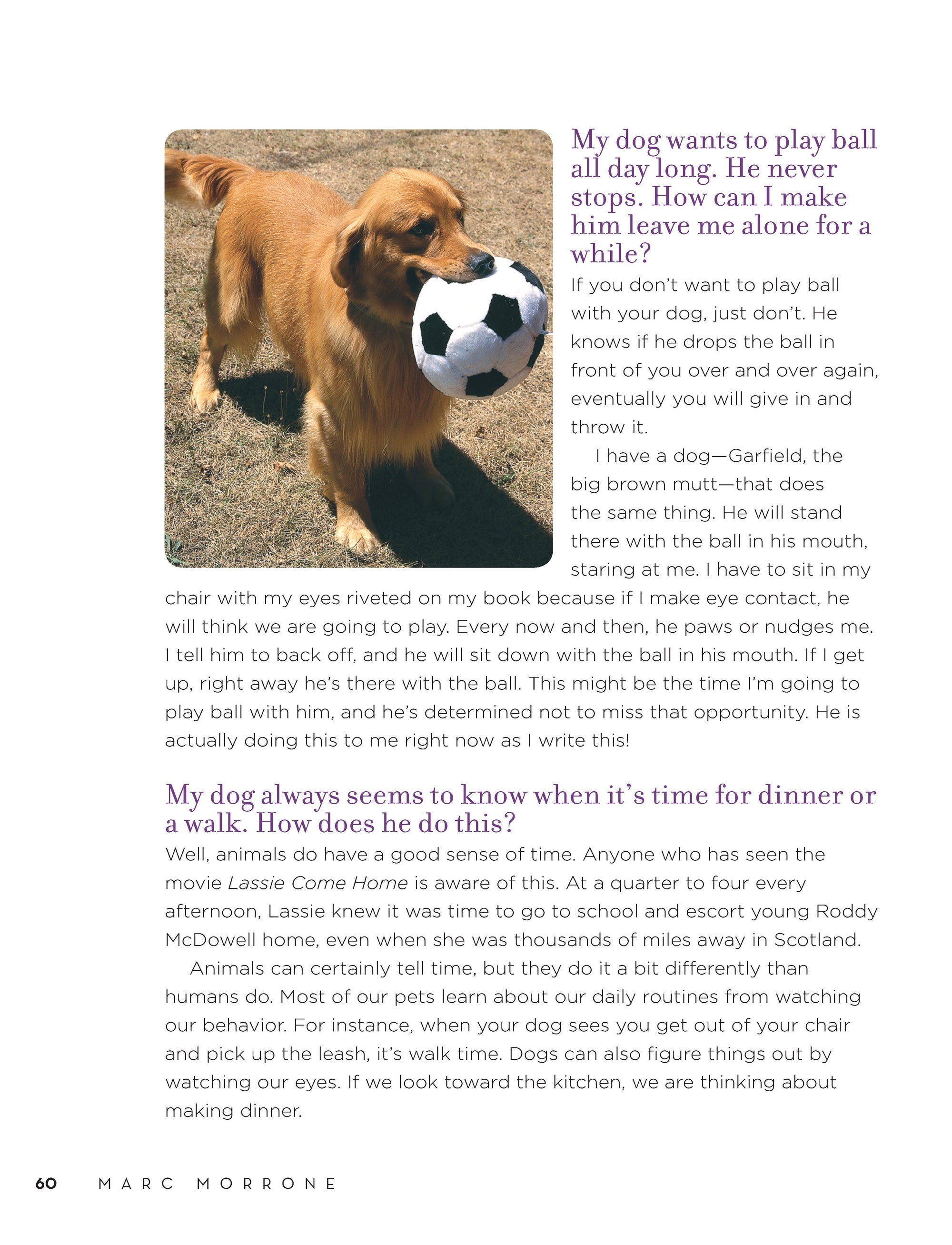 Marc Morrones Ask the Dog Keeper
