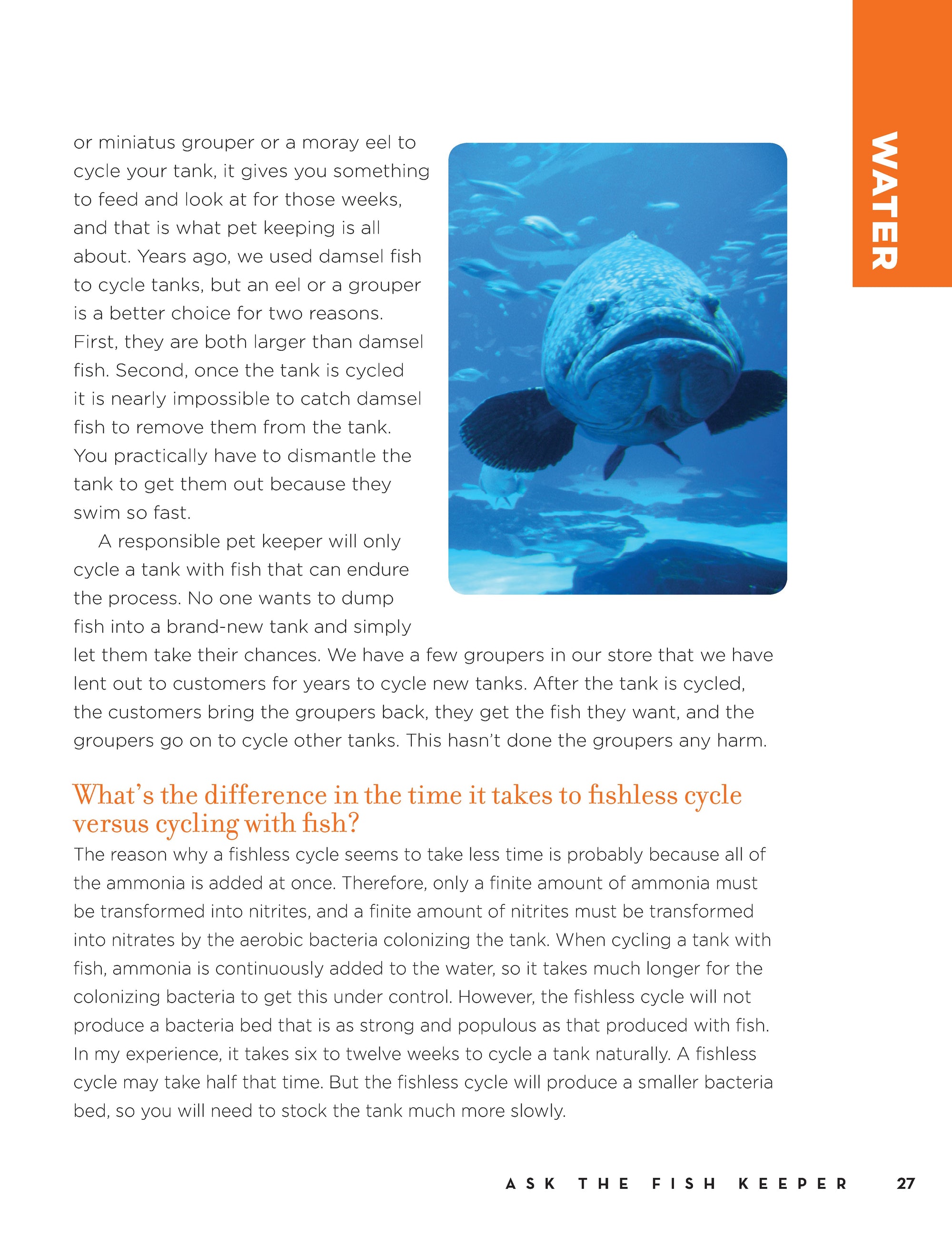 Marc Morrones Ask the Fish Keeper