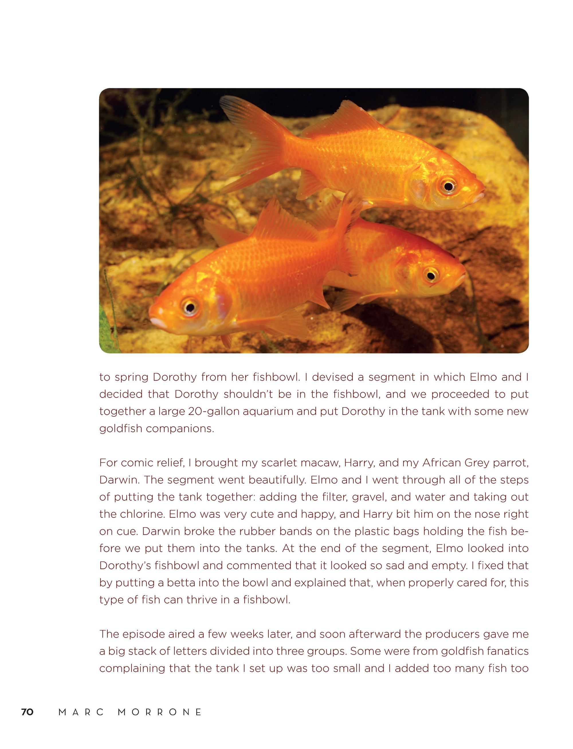 Marc Morrones Ask the Fish Keeper
