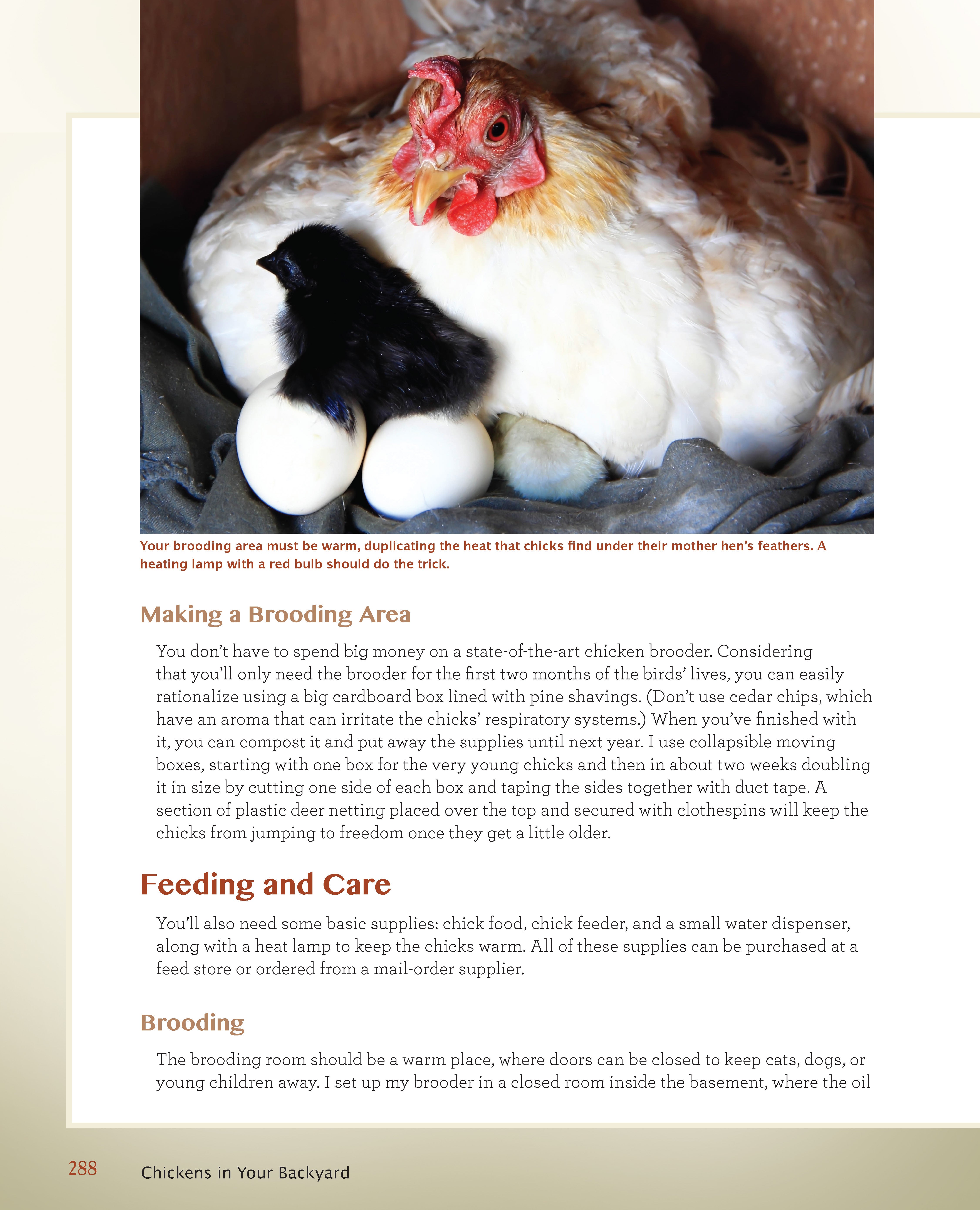 Organic Hobby Farming