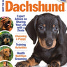 Meet the Dachshund