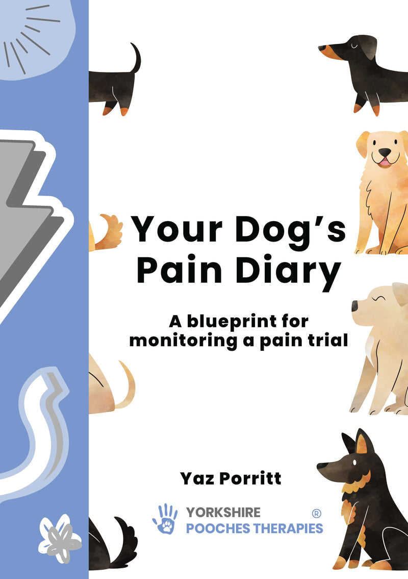 Cover of Your Dog’s Pain Diary – Paperback / softback, ISBN 9781789183726