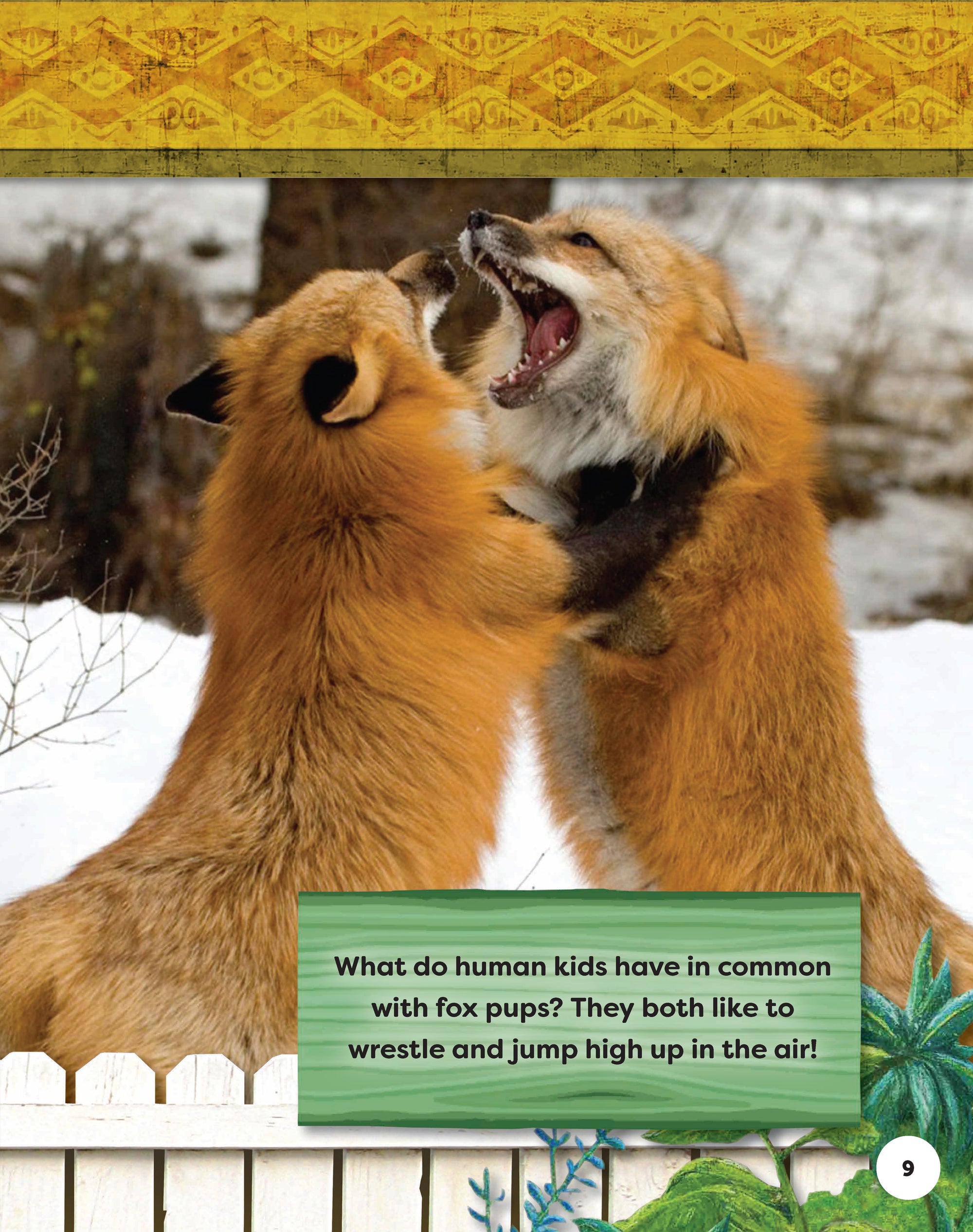 Kids Backyard Safari: Red Foxes
