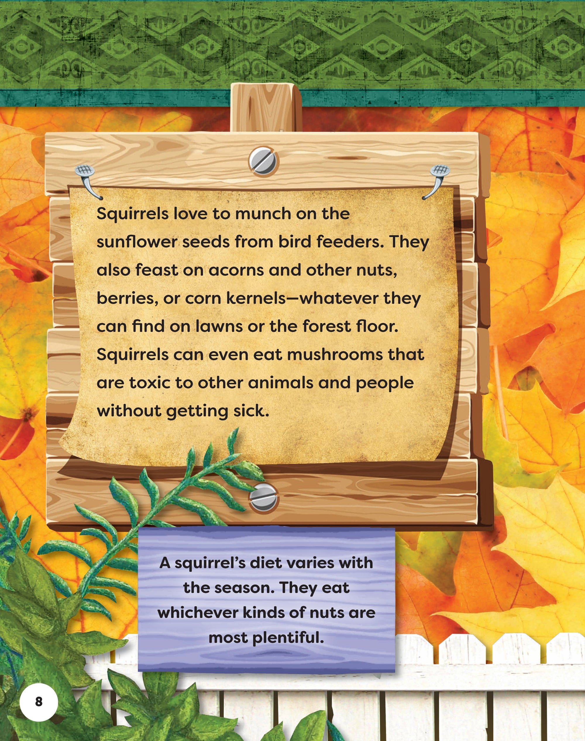 Kids Backyard Safari: Gray Squirrels
