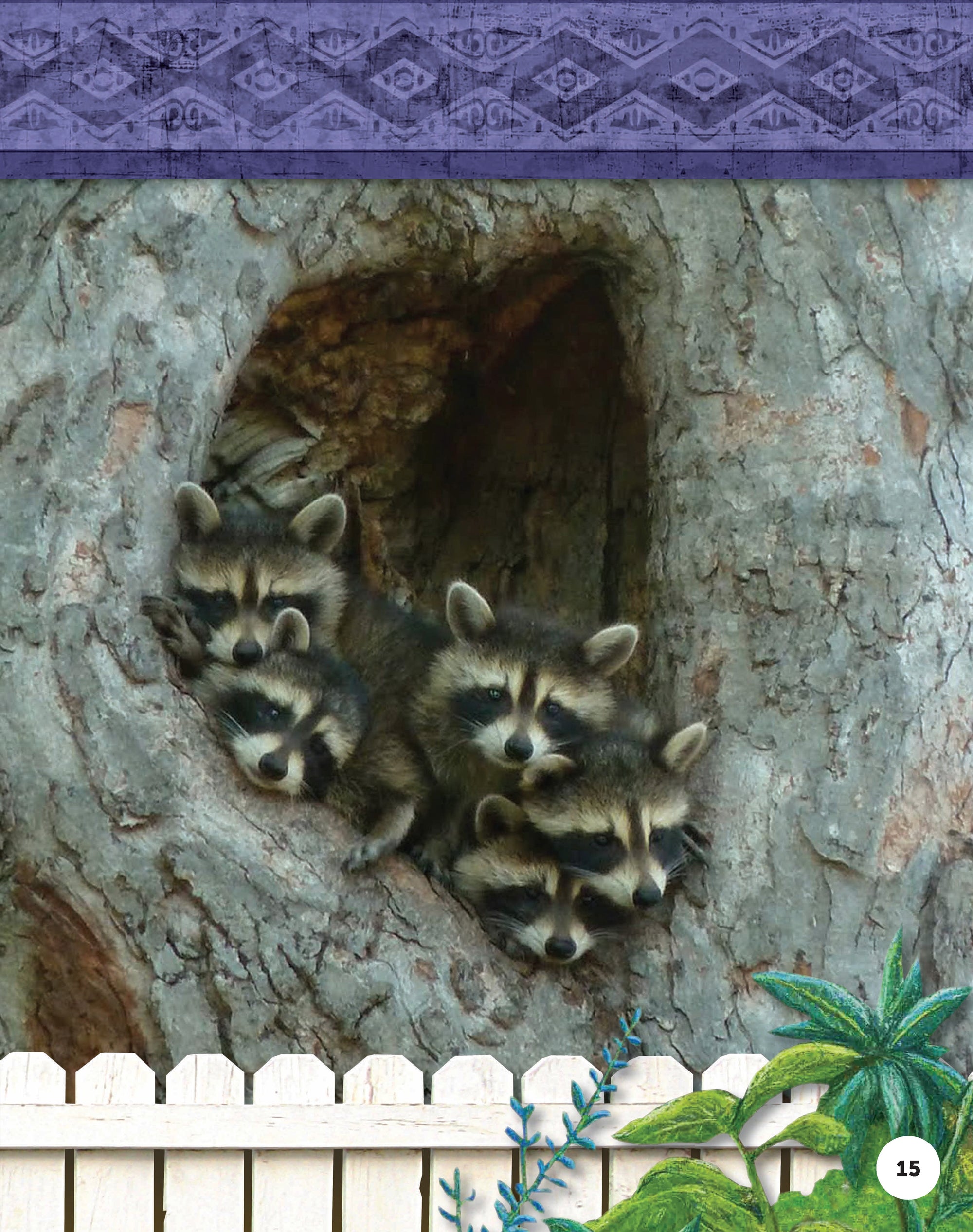 Kids Backyard Safari: Raccoons