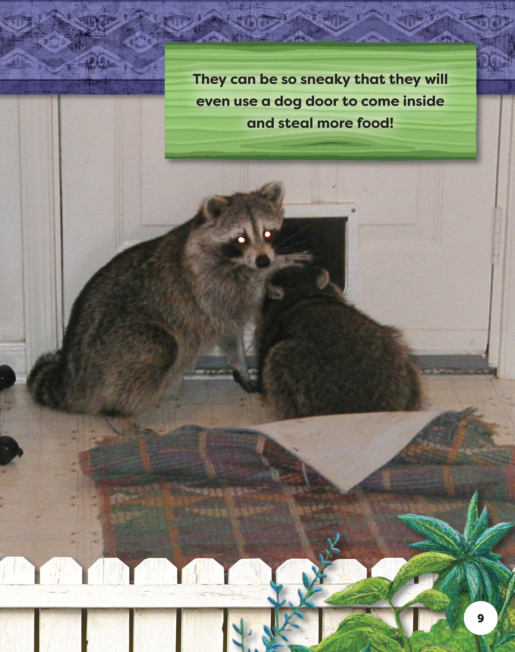 Kids Backyard Safari: Raccoons