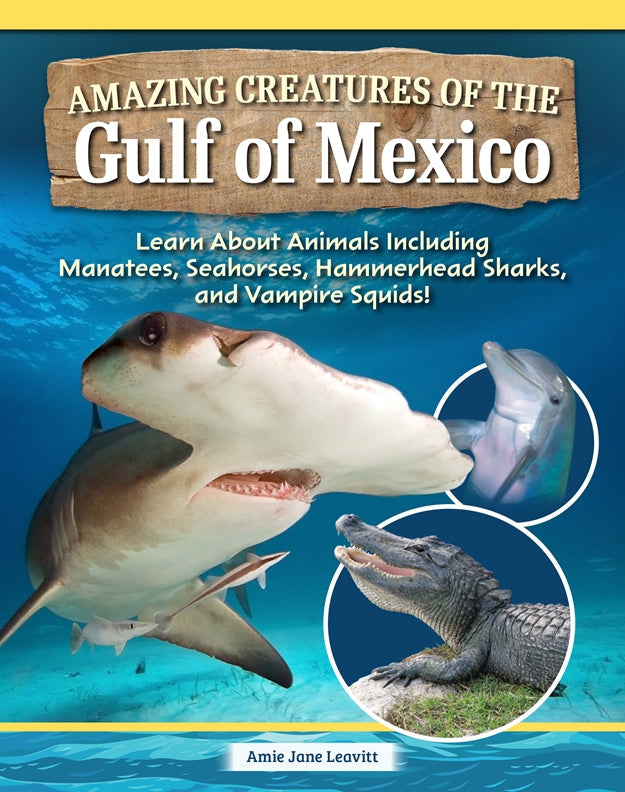 Cover of Amazing Creatures of the Gulf of Mexico – Hardback, ISBN 9798890941695