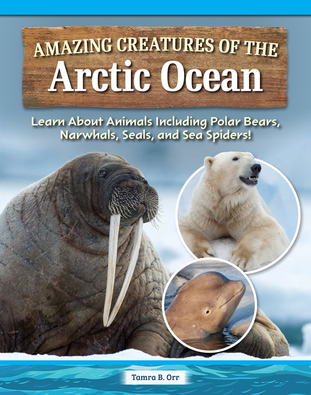 Cover of Amazing Creatures of the Arctic Ocean – Hardback, ISBN 9798890941732