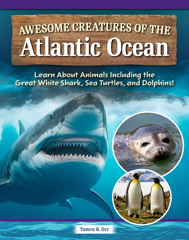 Inside Awesome Creatures of the Atlantic Ocean – Hardback, ISBN 9798890941770