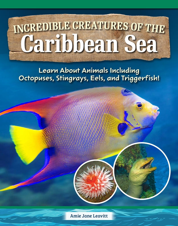 Cover of Incredible Creatures of the Caribbean Sea – Hardback, ISBN 9798890941794