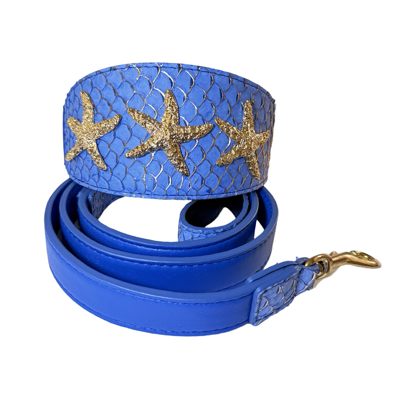 Allysa Payne Malibu Star Dog Collar & Leash Set