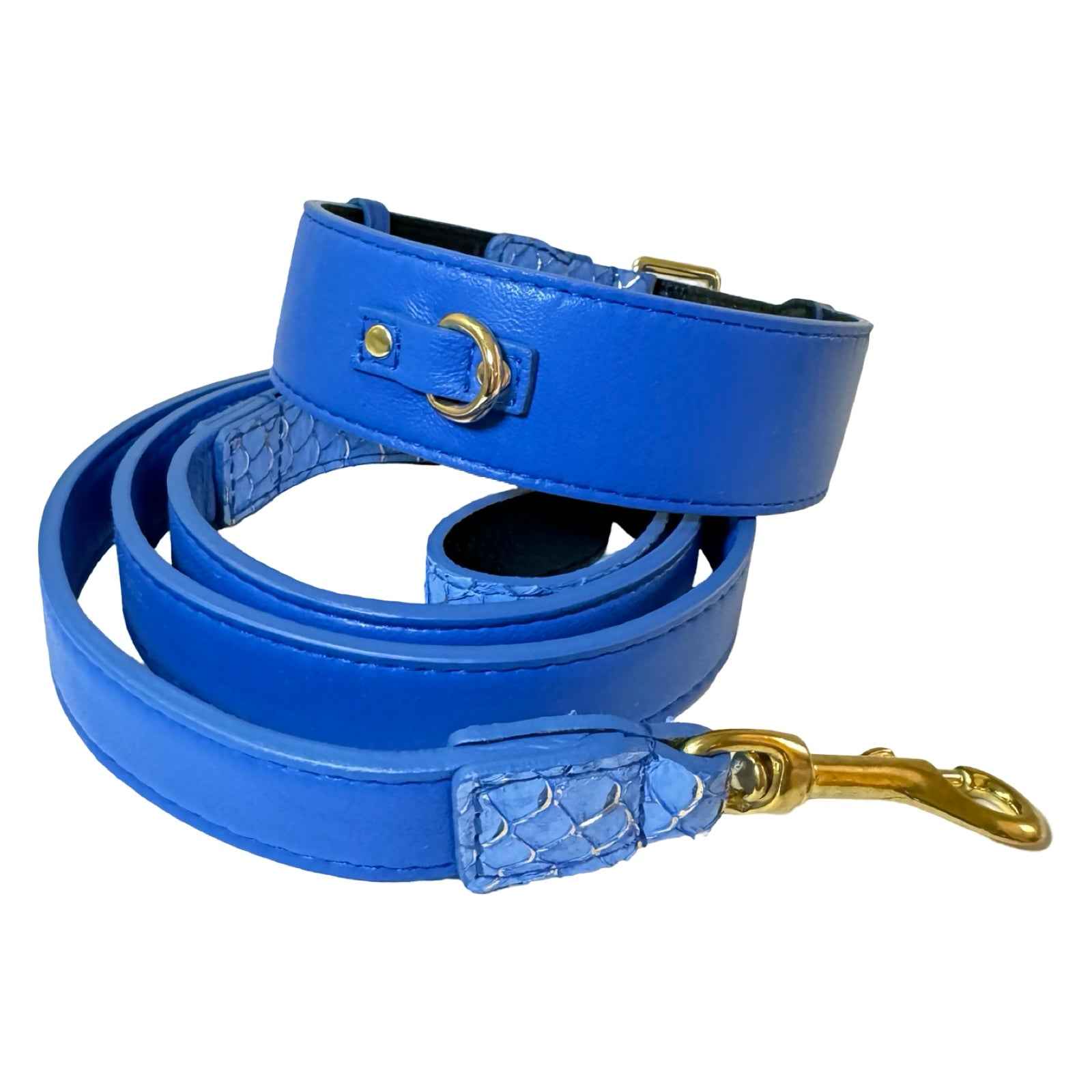 Allysa Payne Malibu Classic Dog Collar & Leash Set