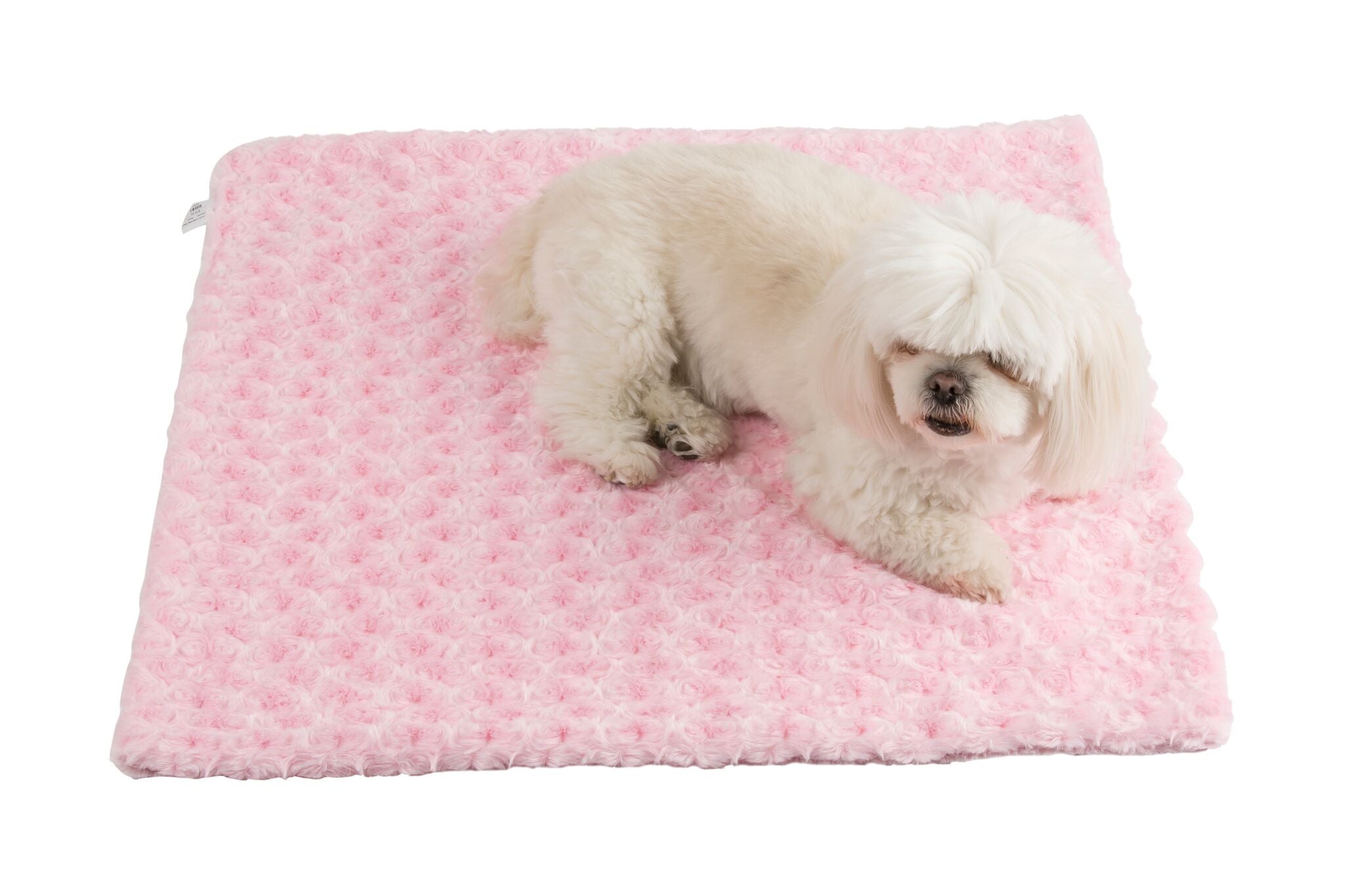 Cuddle Minky Blankets