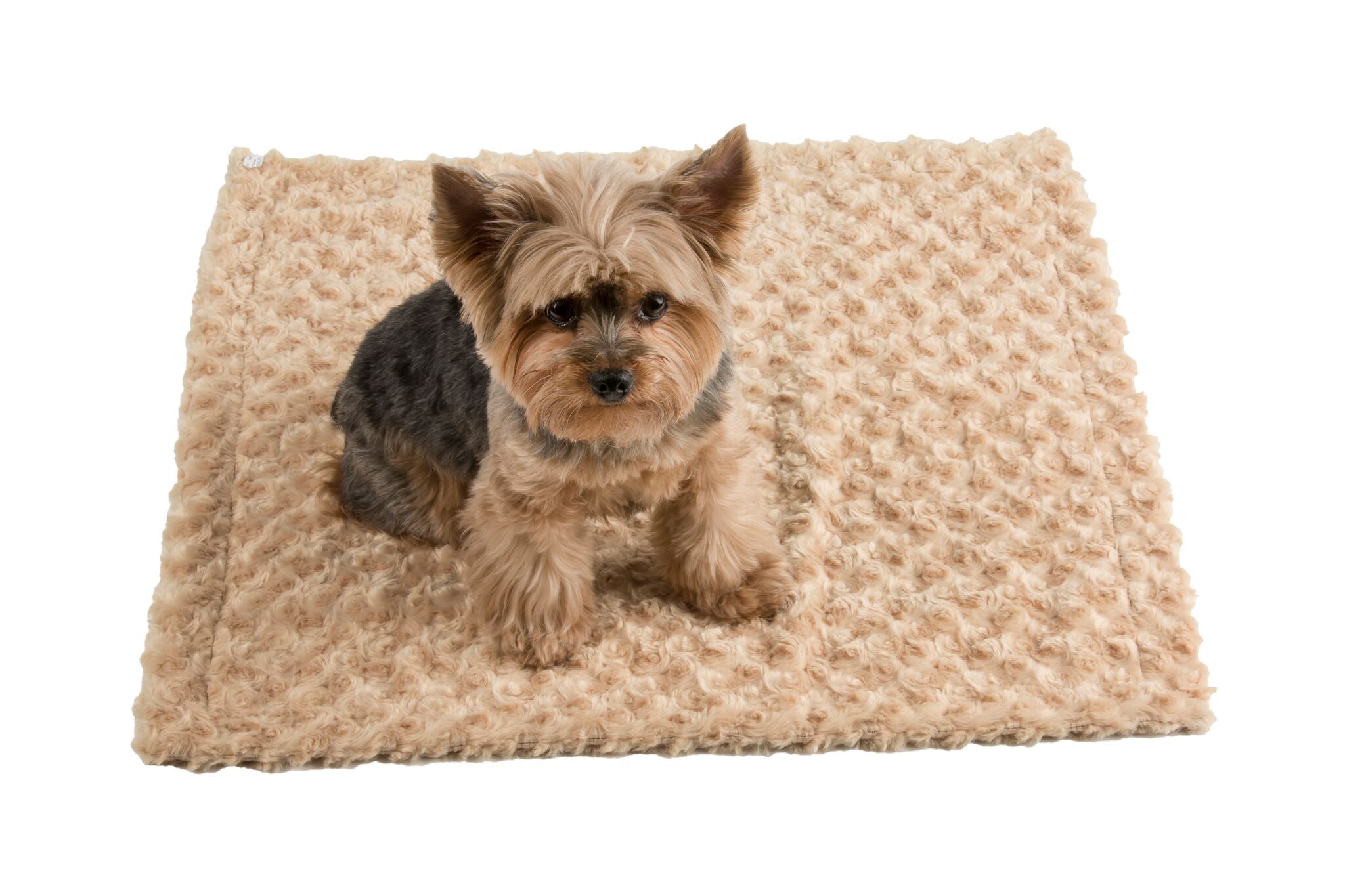 Cuddle Minky Blankets