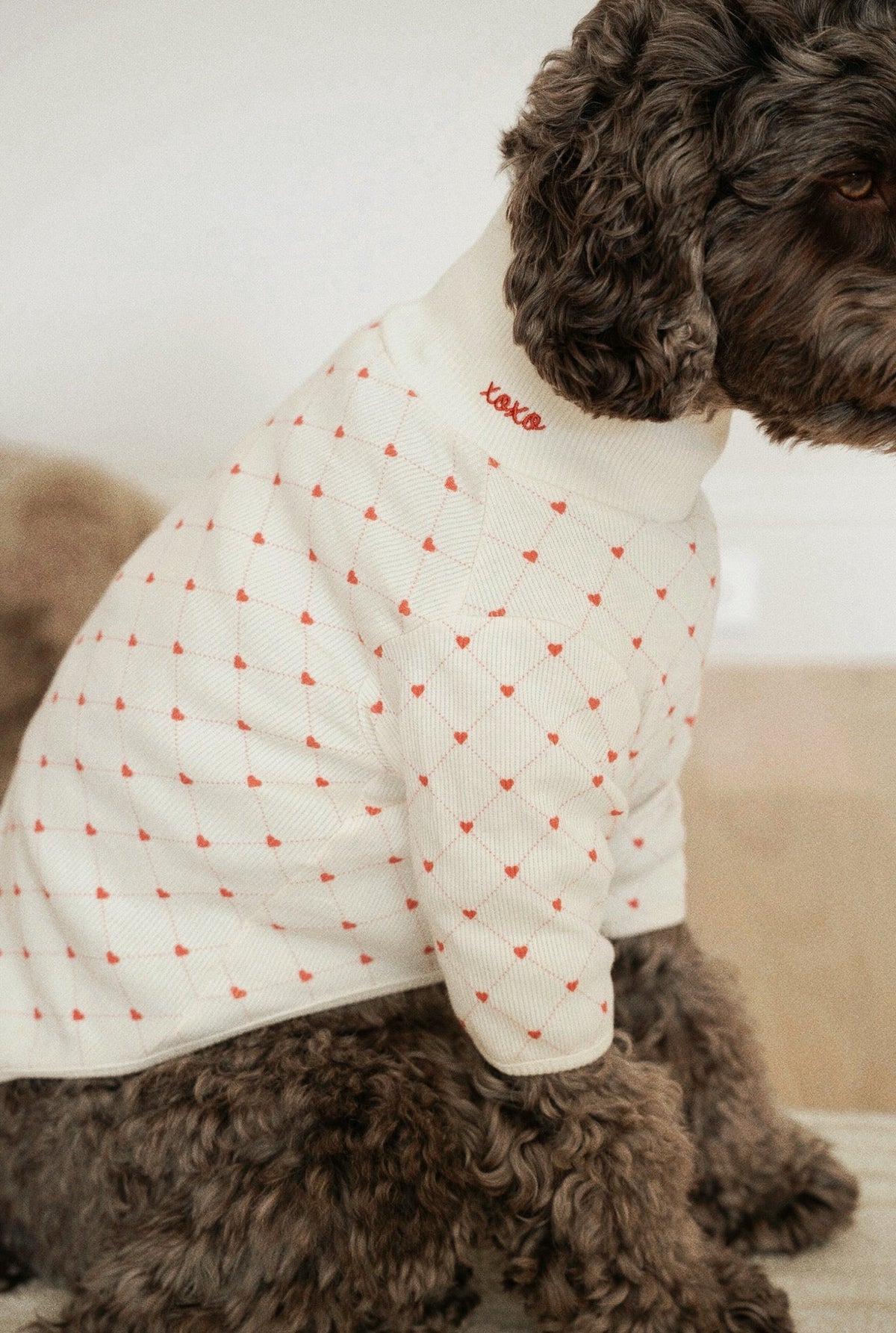 Xoxo sweater