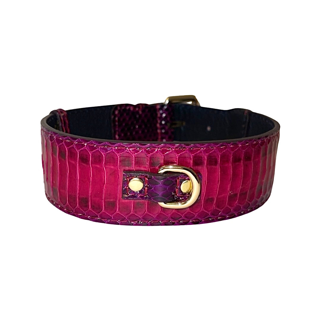 Allysa Payne Ruby Red & Purple Snake Classic Dog Collar