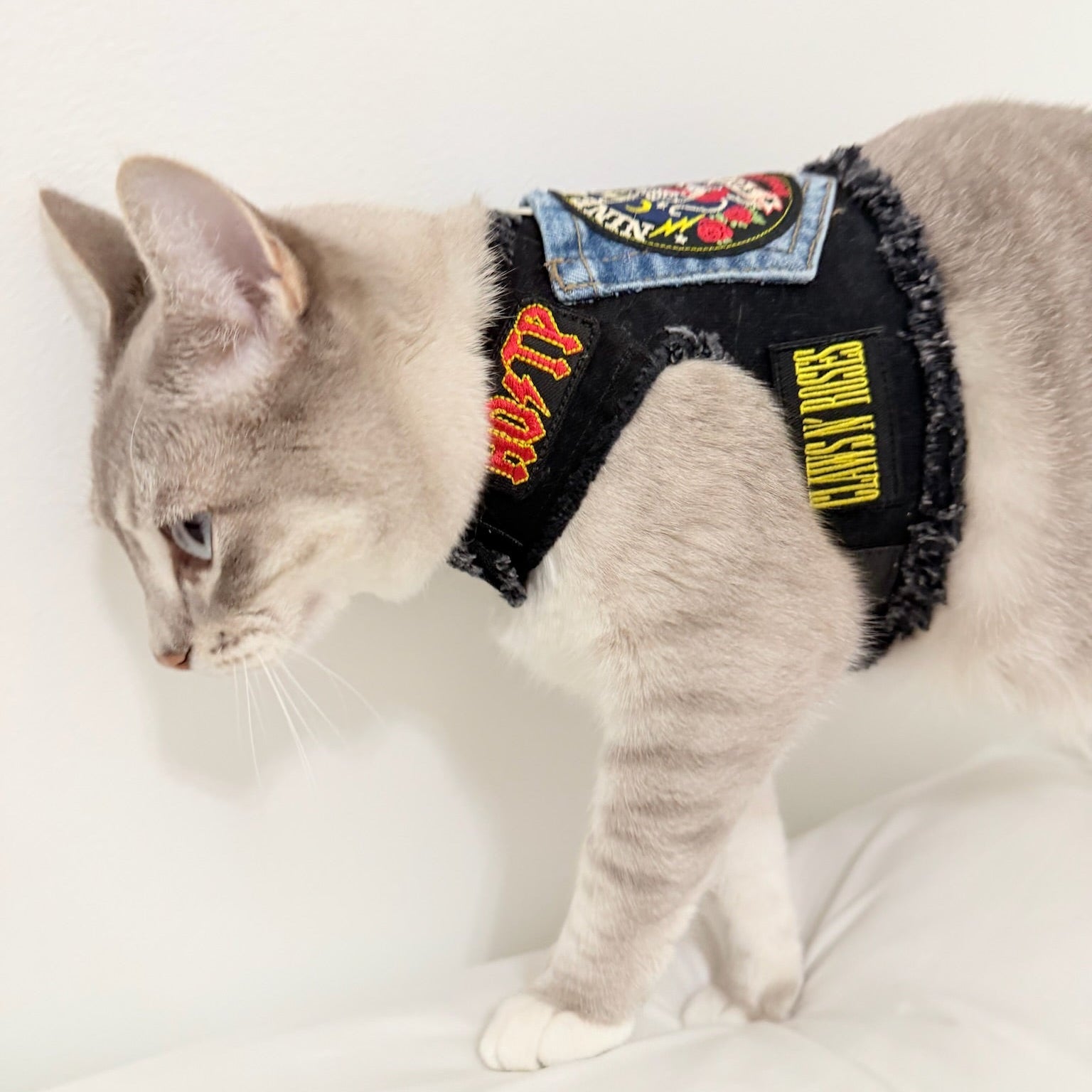 Heads or Tails Pup 9 Lives Cotton Pet Harness