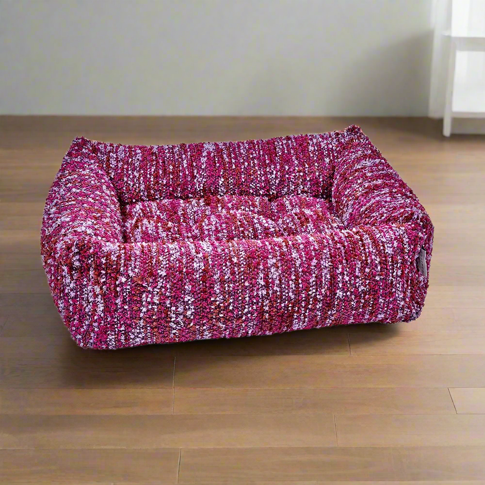 The Franklin-Fuchsia Fiesta