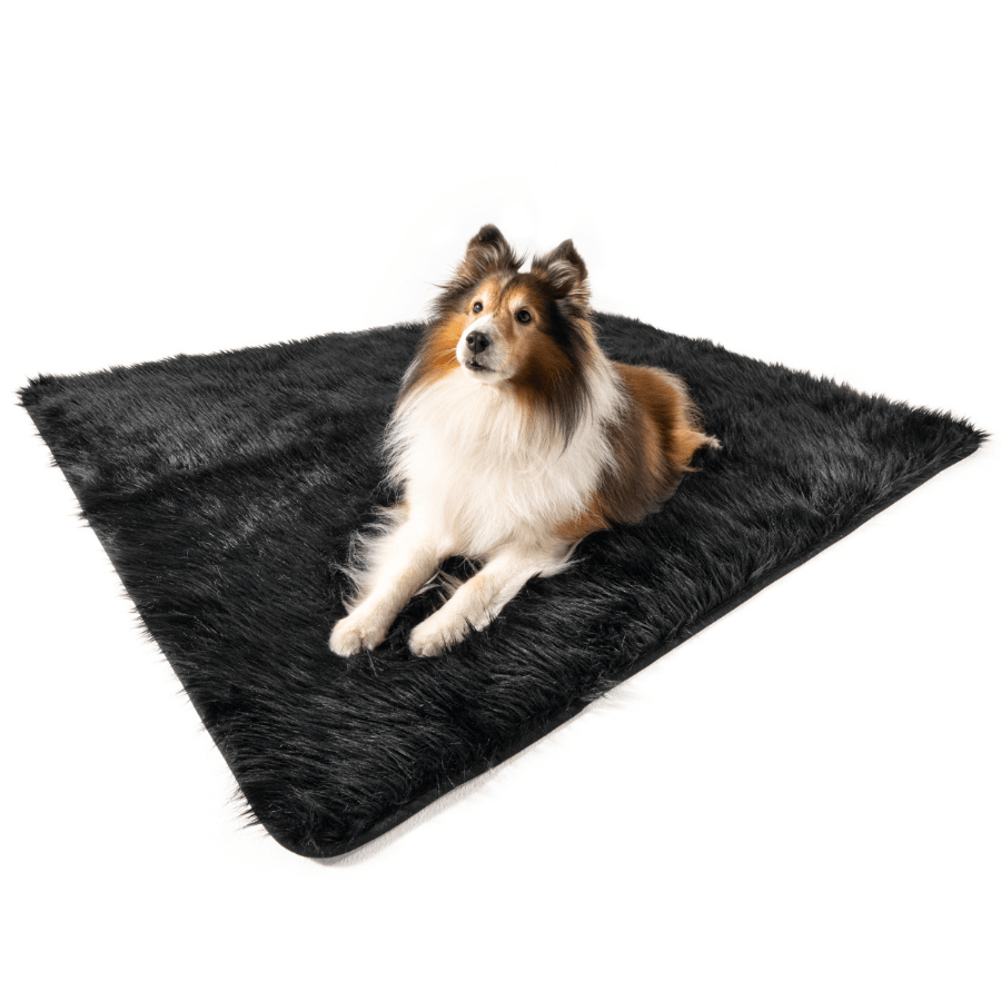 PupProtector™ Waterproof Throw Blanket - Midnight Black | HT Animal Supply