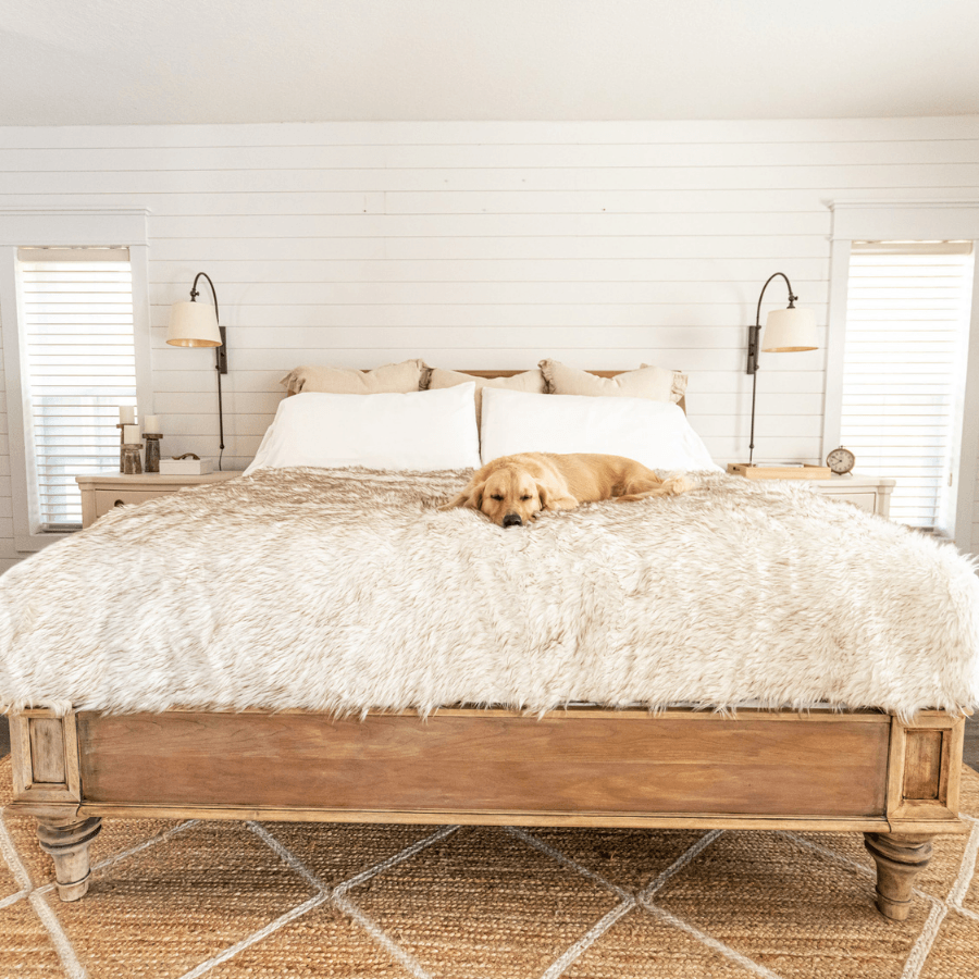 PupProtector Waterproof Throw Blanket White with Brown Accents 