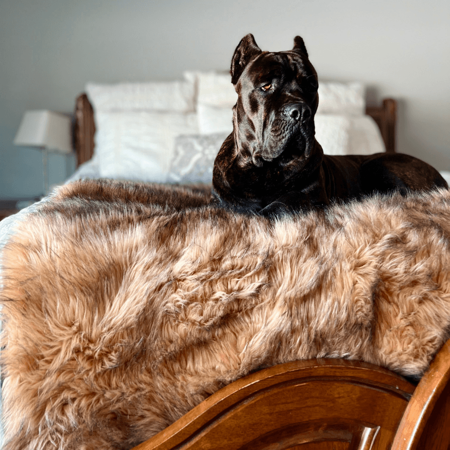 PupProtector Waterproof Throw Blanket Sable Tan