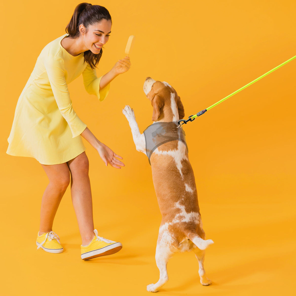 Dogline Nylon Round Dog Lead