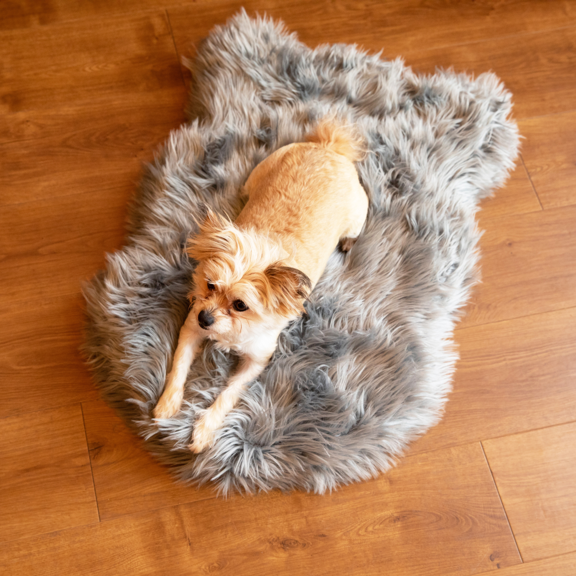 Puprug Faux Fur Orthopedic Dog Bed Curve Charcoal Grey
