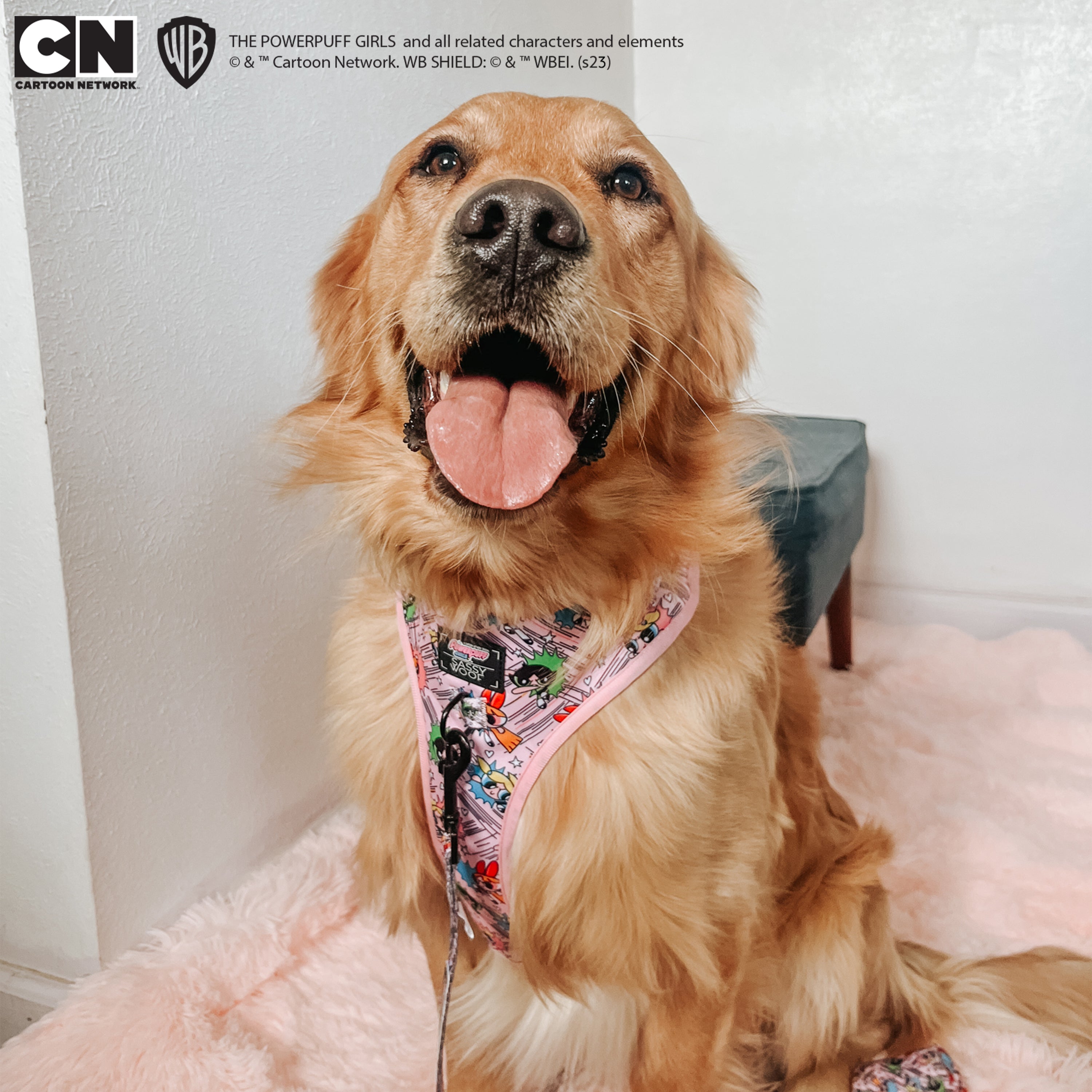 Dog Adjustable Harness - The Powerpuff Girls™ (Pink)