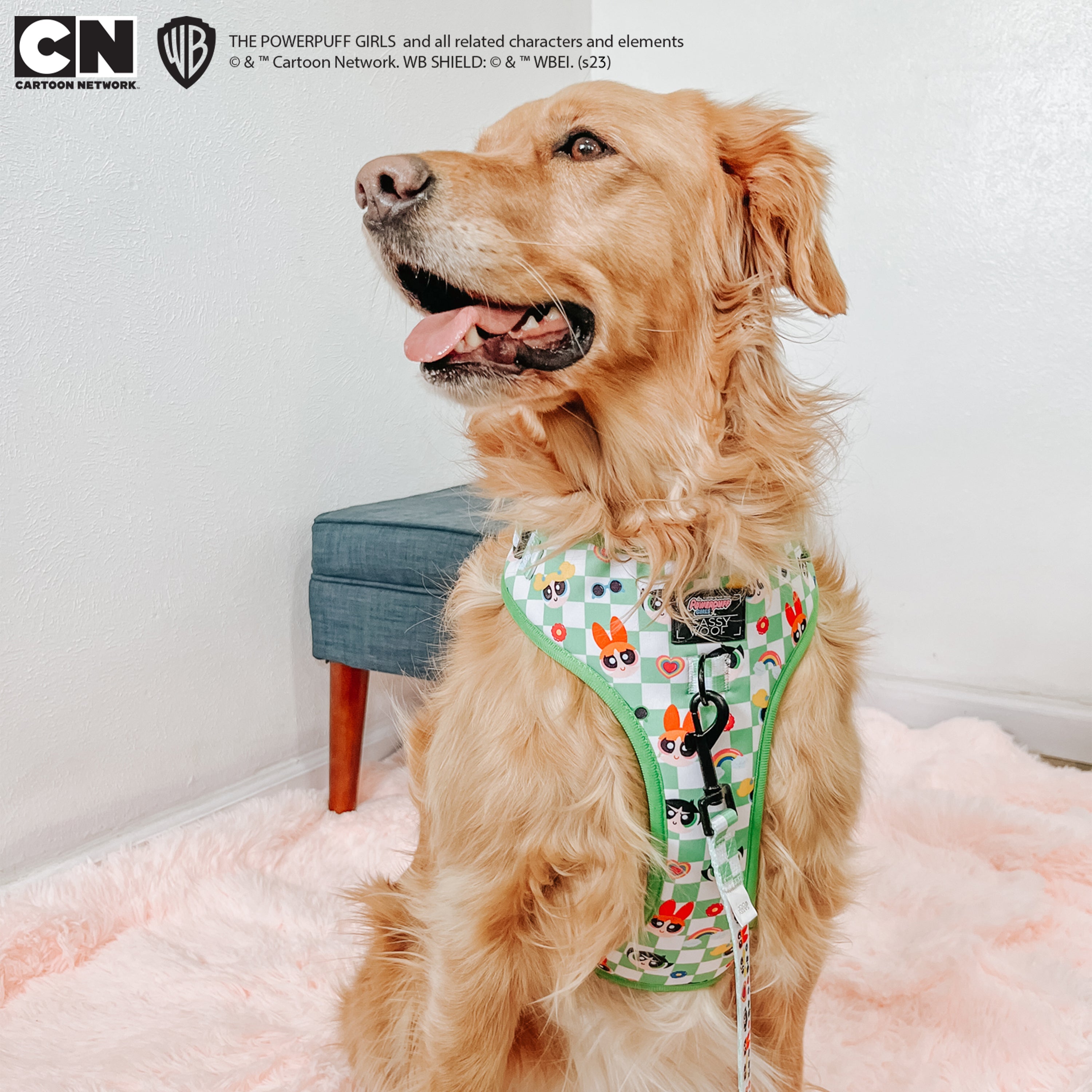 Dog Adjustable Harness - The Powerpuff Girls™ (Green)