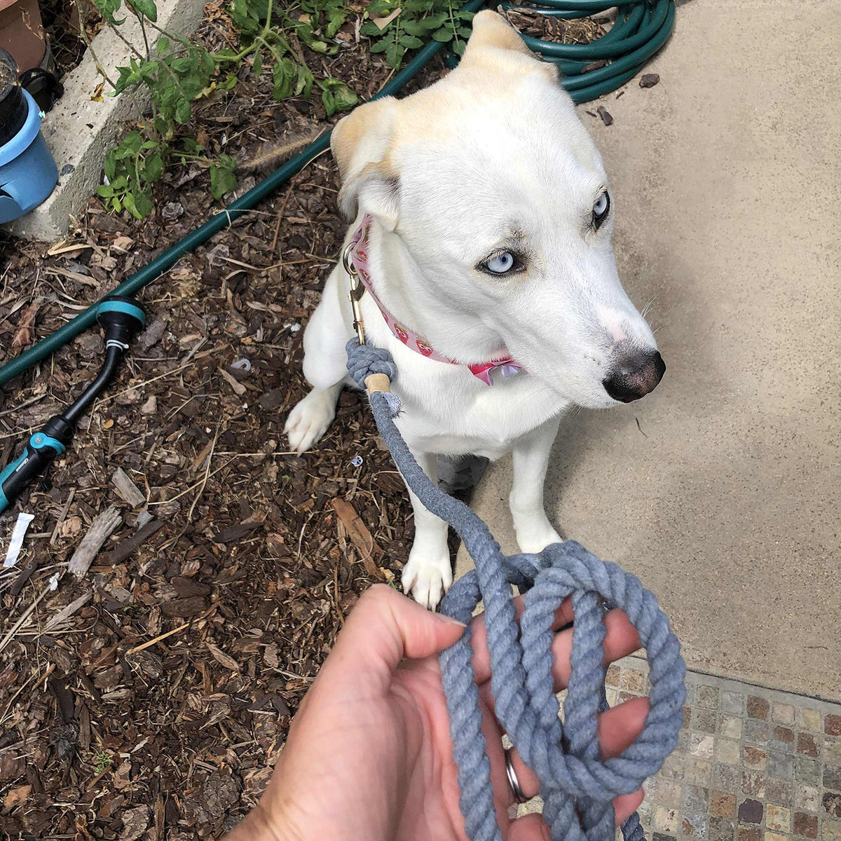 Glow Pups: Grey Boho Chic Cotton Rope Dog Leash