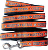 Houston Astros Leash