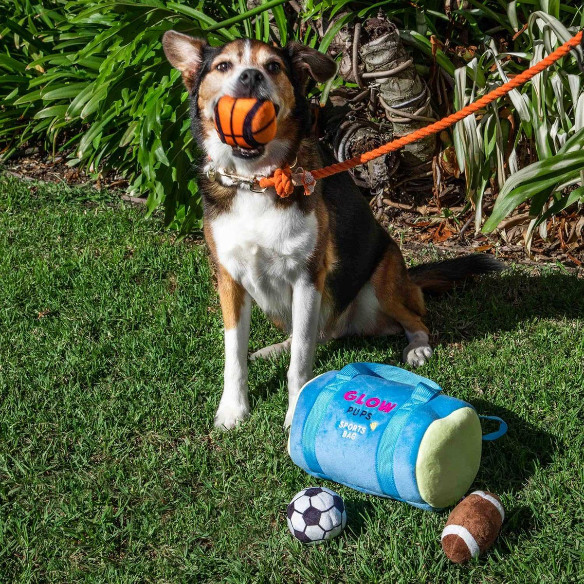 Glow Pups: Sports Bag Hide and Seek Plush Dog Toy Set