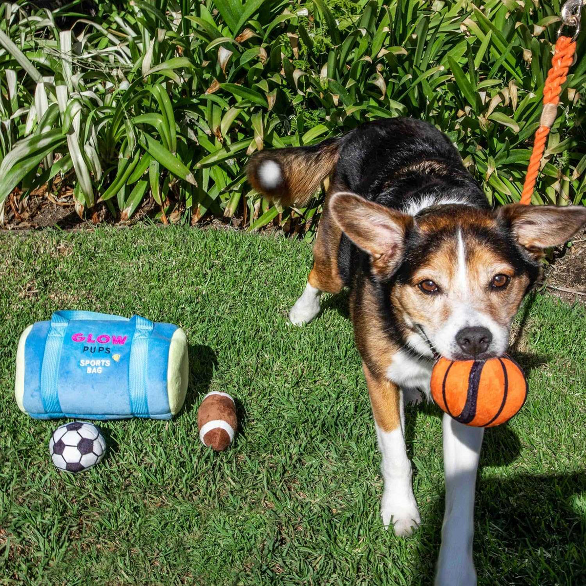 Glow Pups: Sports Bag Hide and Seek Plush Dog Toy Set