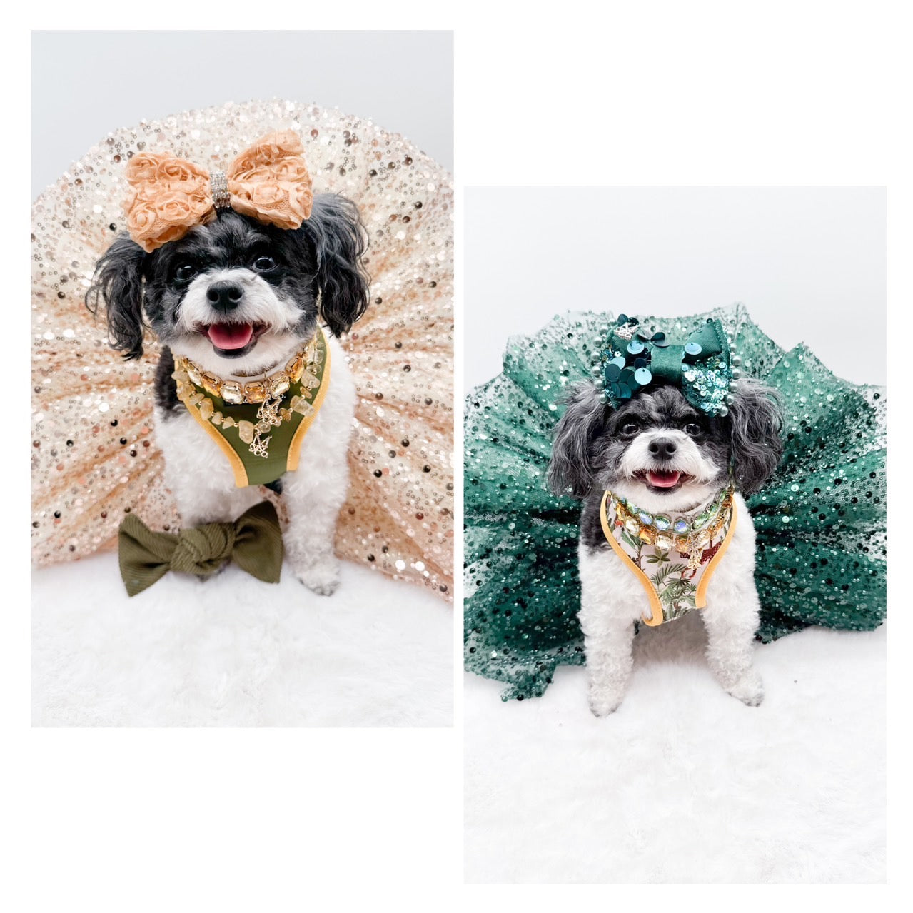 Into the Wild Reversible Harness