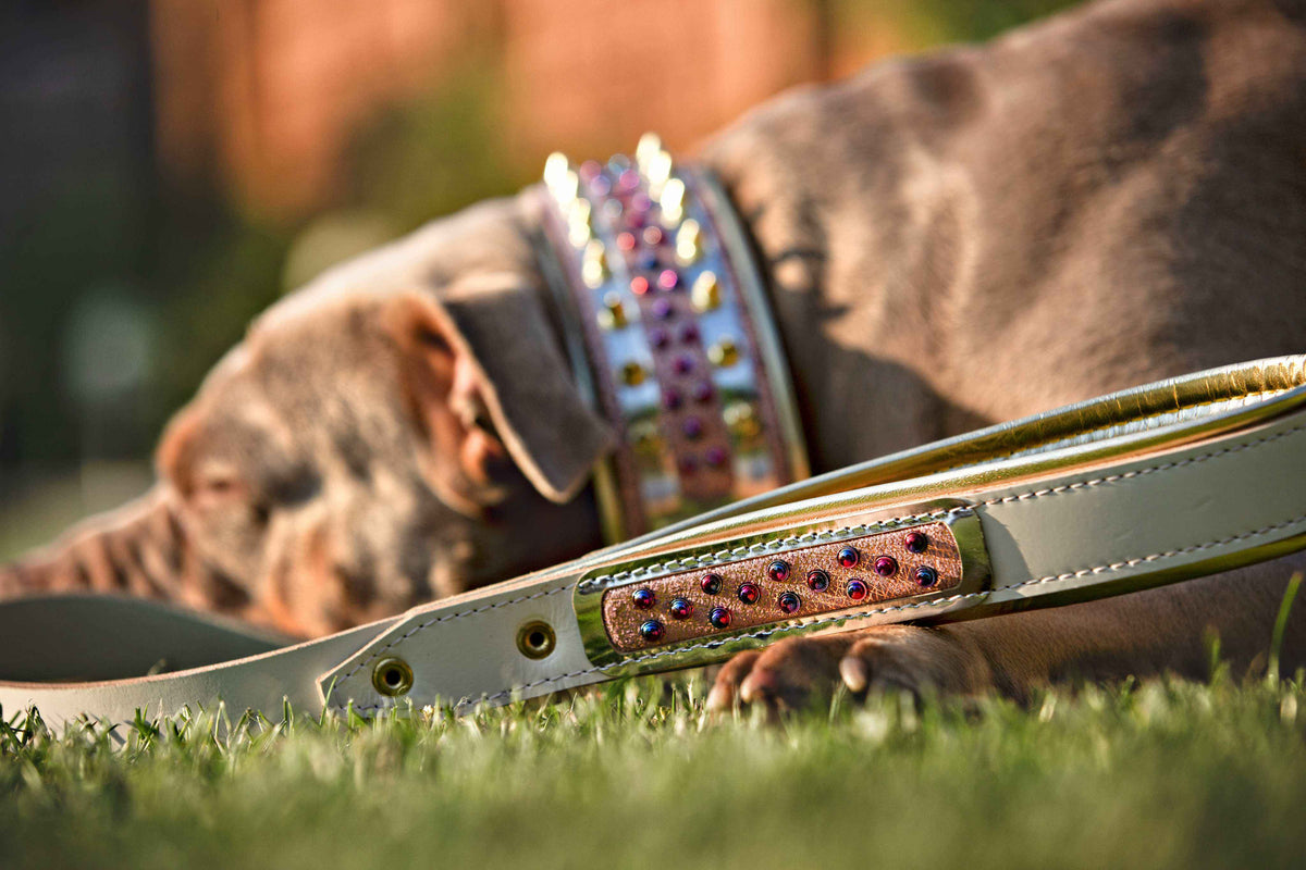 Bestia Candy Leather Dog Collar