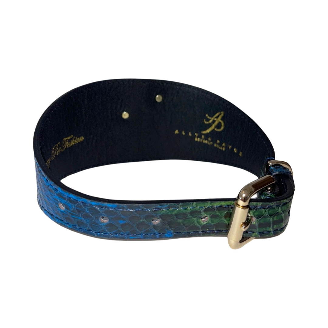 Allysa Payne The Prince Of Malibu Poodle Dog Collar