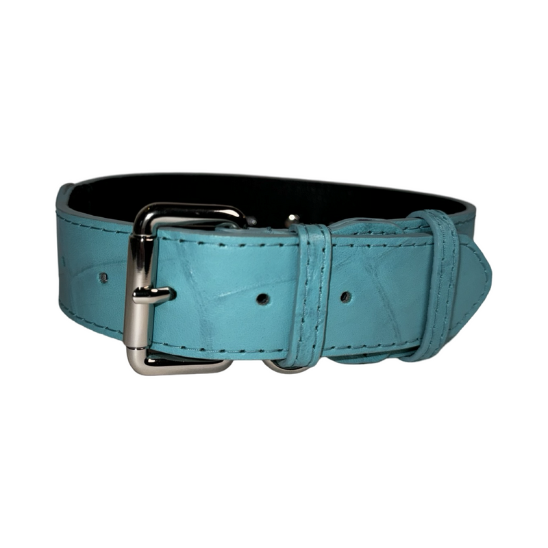 Allysa Payne The Tiffany Collection Turquoise Blue Embossed Croc Italian Leather Dog Collar, With Our Classic Silver Hardware