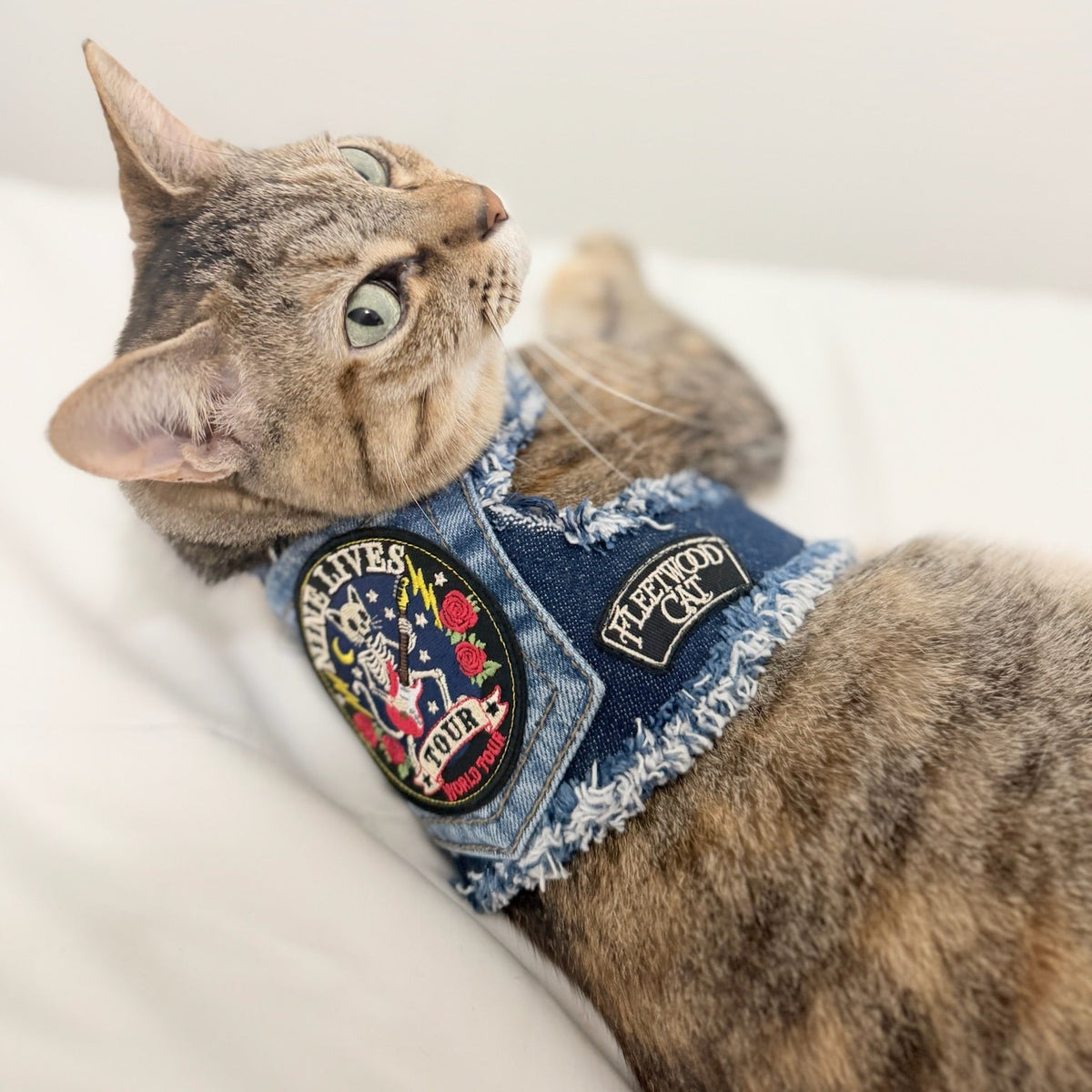 Heads or Tails Pup 9 Lives Cotton Pet Harness